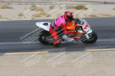 media/Jan-19-2024-Apex Assassins-CVMA Friday (Fri) [[74e94f2102]]/Trackday 1/Session 2 (Turn 12 Inside)/